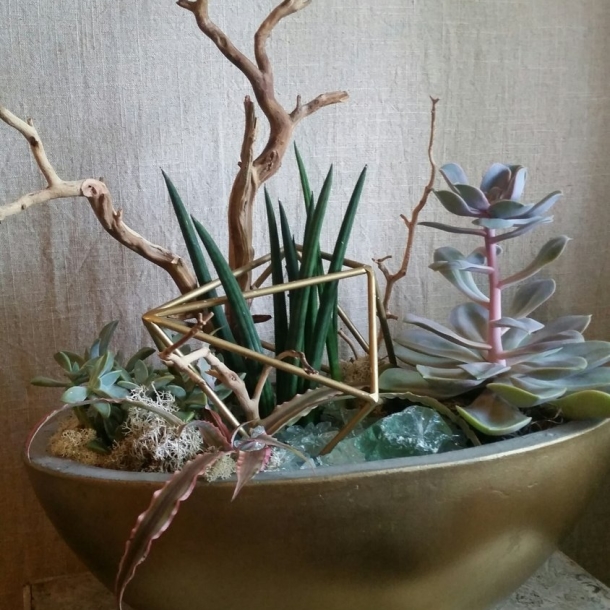 Geometric succulent garden in a gold bowl planter with mixed succulents and a brass cube accent