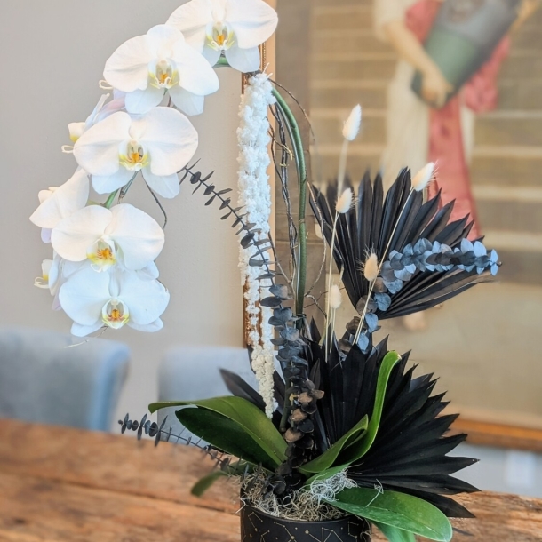 White Phalaenopsis orchid arrangement with dark foliage accents in a black pot